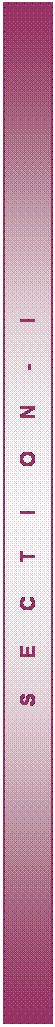 Text Box: S E C T I O N - I