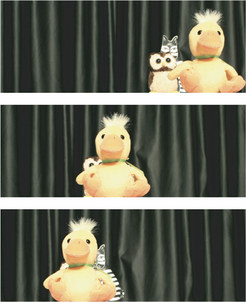 Duck Sequence