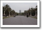通向城堡公园的大道