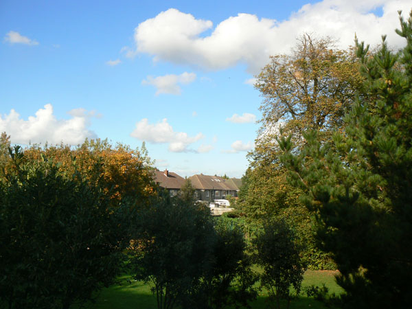 P1030382